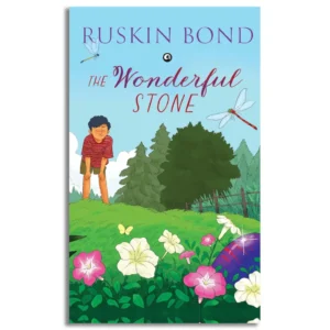The Wonderful Stone